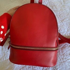 Red Backpack/Bag